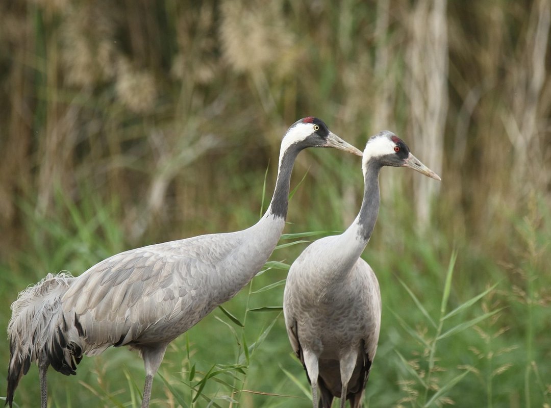 Nutrition Tips Fhthgoodfood