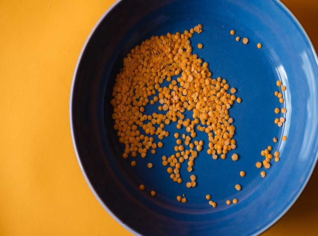 plant-based diets rise