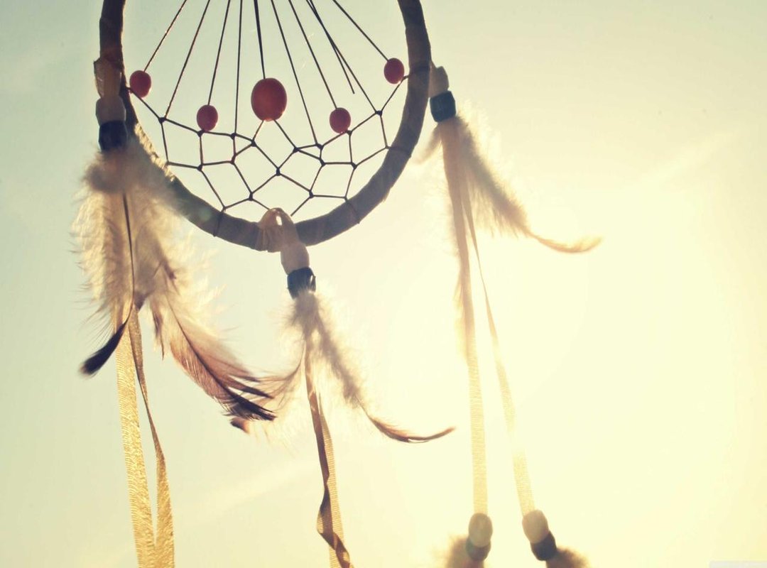 From Fanfiction to Film: The 'After' Book Series Explained