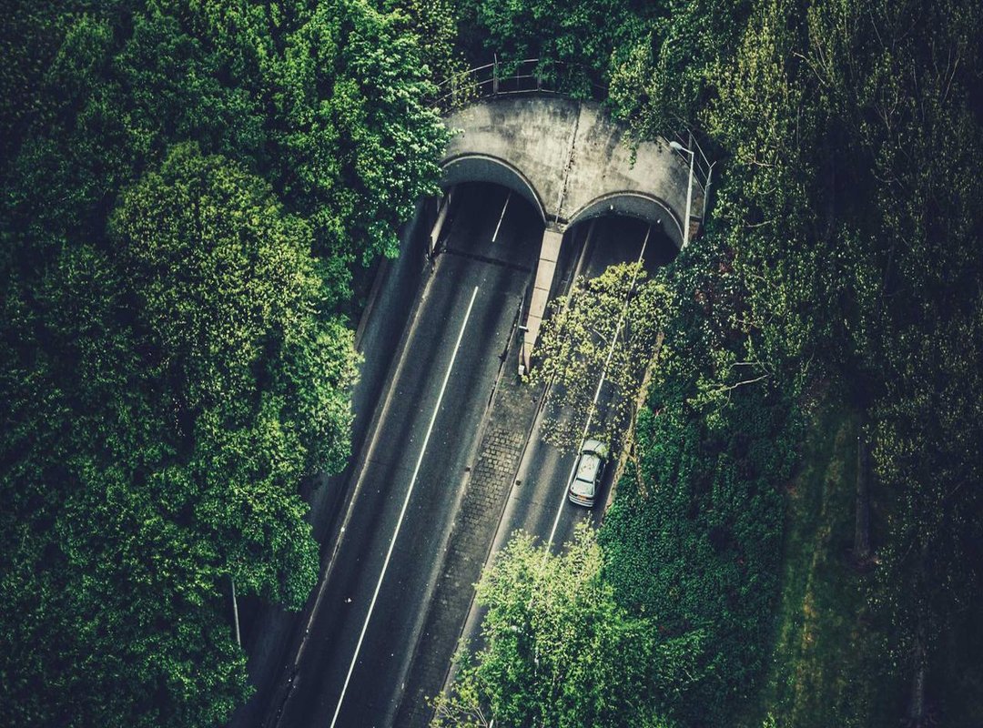 Analyzing the Search Trend: What Users Are Looking For