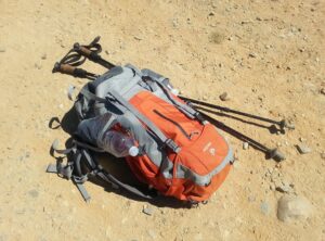 betsy camino embarazada