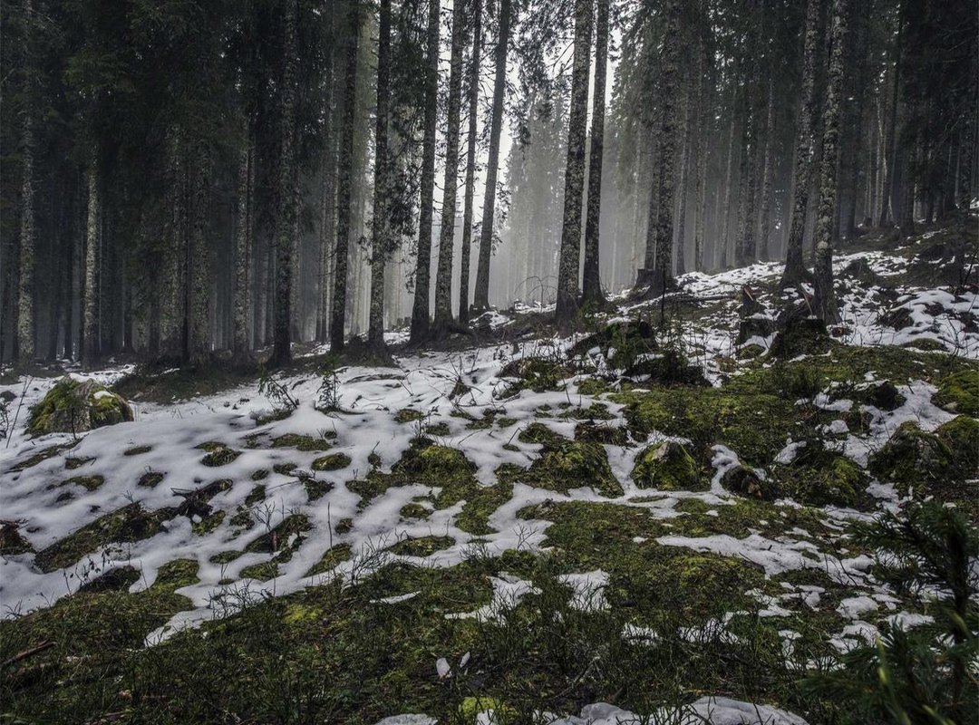 Character Analysis: Who Changed the Most in This Episode?