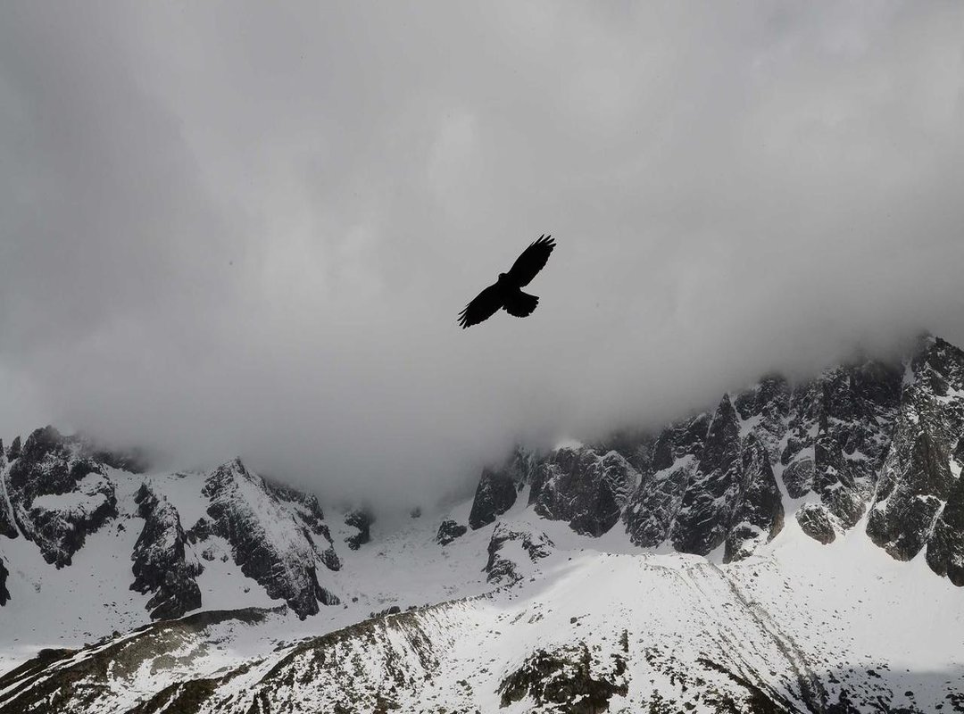 Snack Aisle Showdown: Chaparritos vs. Goldfish and Fruit Snacks