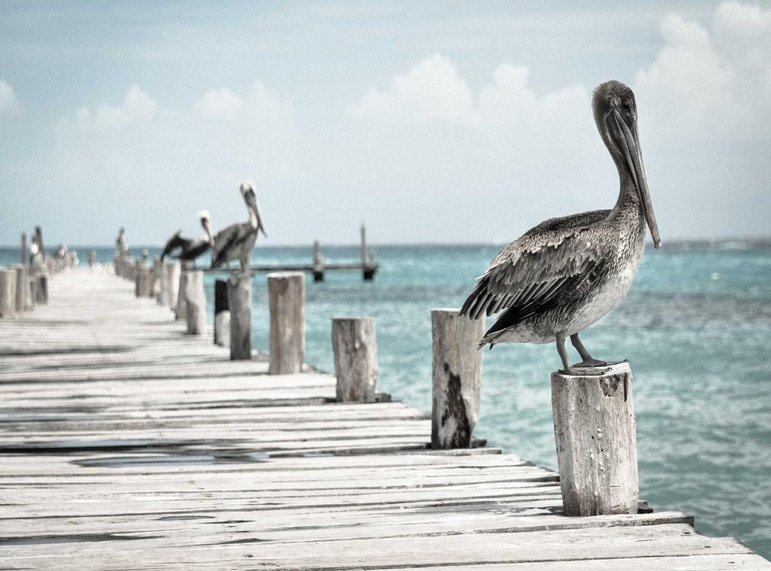 How to Legally Get Your High-Quality 'John Wick: Chapter 4' Copy