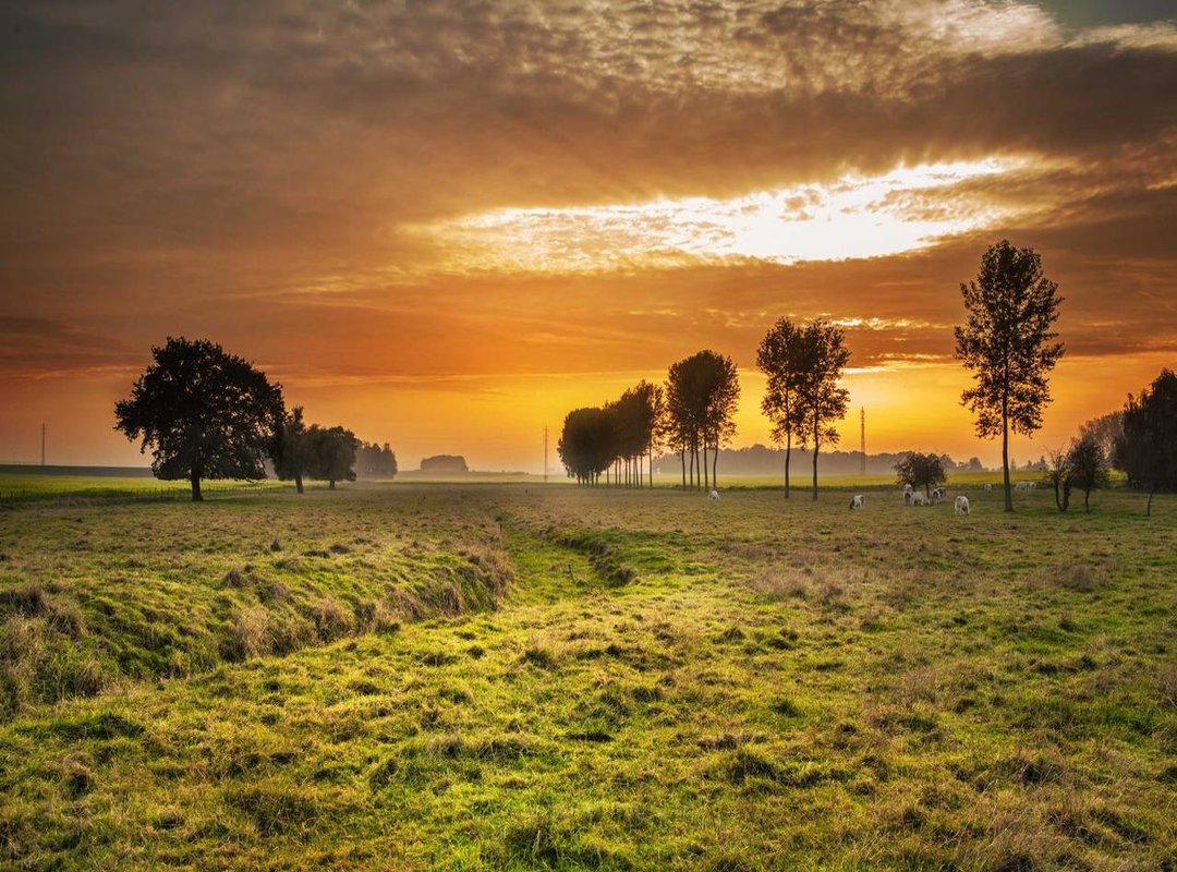 Your Manual Value Calculator: A Step-by-Step Walkthrough