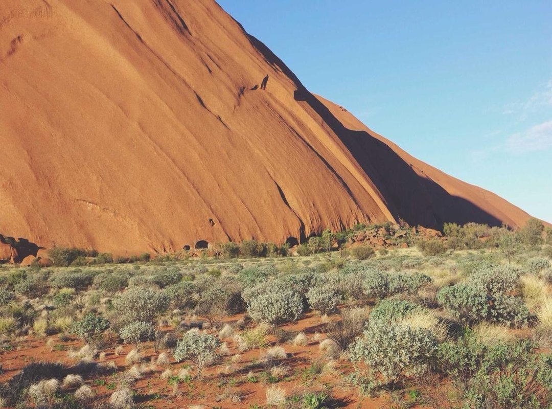 The Story Behind the Music: The Song's Role in the Film 'Les Choristes'