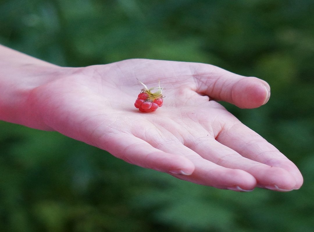 How to Verify You're Downloading True Full HD Quality